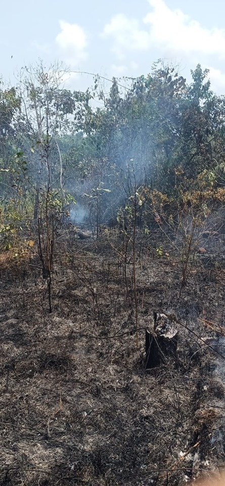 Kebakaran Semak Belukar di Jl. Jalan Baru Lemuku