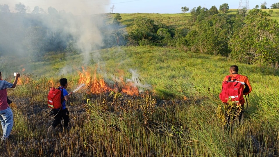 Kebakaran Lahan di Jl. Mukmin Faisal