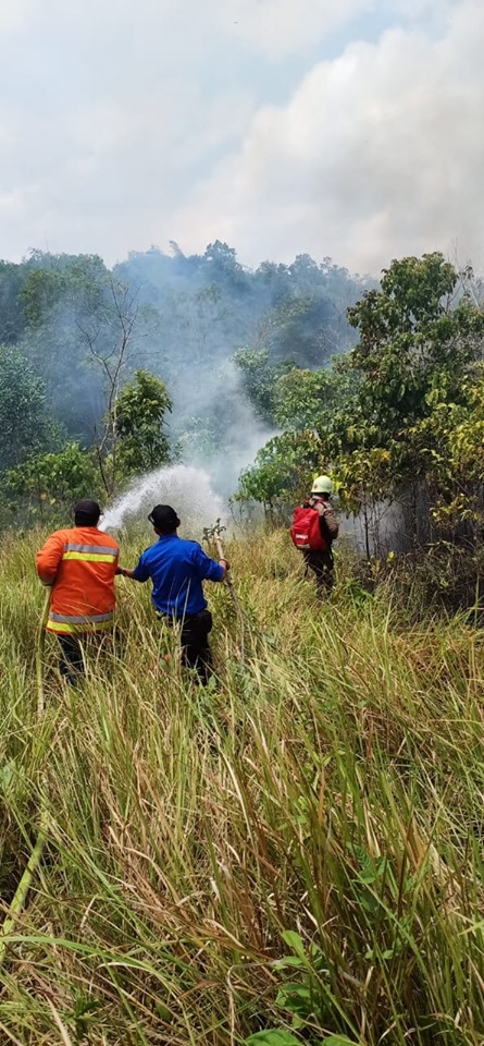 Kebakaran Lahan di Hermandiri LKI Jl. Perjuangan