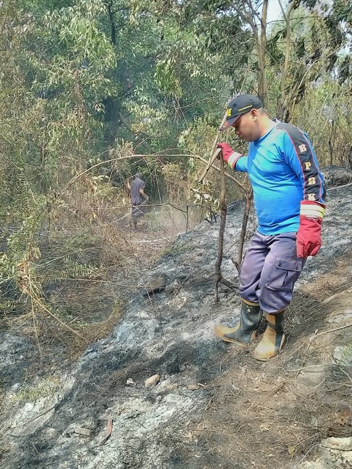 Kebakaran Lahan di Jl. Pupuk Baru