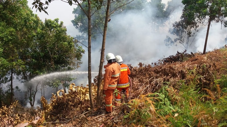 Kebakaran Lahan di Jl. Prona 3 