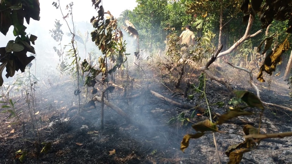 Kebakaran Lahan di Jl. Sumber Sari Rt.22