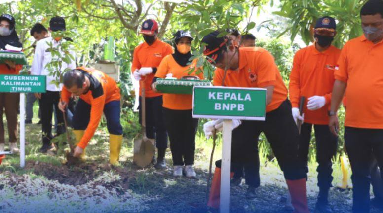 Kurangi resiko bencana, Balikpapan ditanami 770 Bibit Pohon